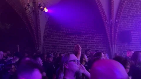 Group of people fans having fun at a rock concert Stock Footage 286272705