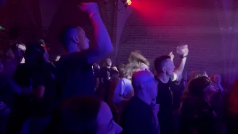 Group of people fans having fun at a rock concert Stock Footage 286272726