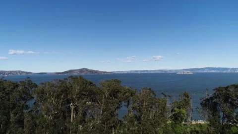 A group of people in a forest Stock Footage 156338677