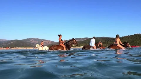 Group of people have fun riding horse in ocean water in summer season. Low Stock Footage 255992261