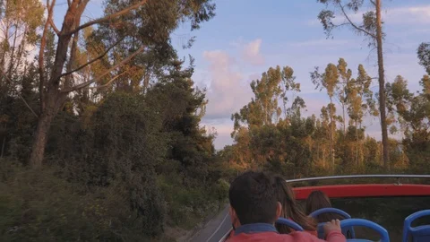 Group of people having excursion on open touristic bus along road with trees Stock Footage 91412596