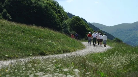 Group of People Hiking Stock Footage 76980310