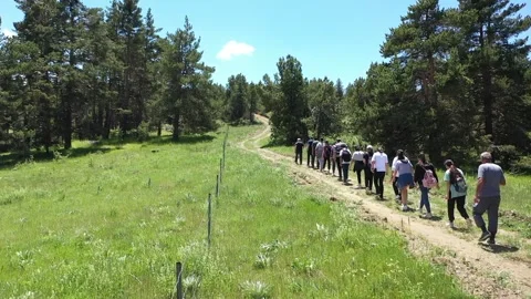 Group of people hiking on forest path with aerial shot 3 Video stock 294008275