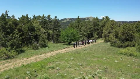Group of people hiking on forest path with aerial shot 2 Stock Footage 294015366