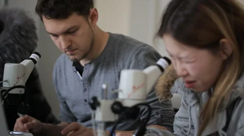 Group of people make observation with help of microscope in laboratory Stock Footage 66040536
