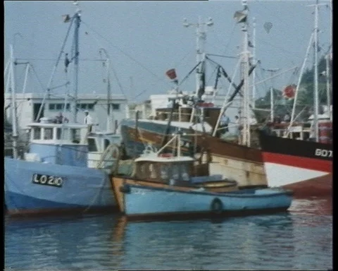 Group of people moving boxes with shells from boat, UK, 1979 Stock Footage 142214563