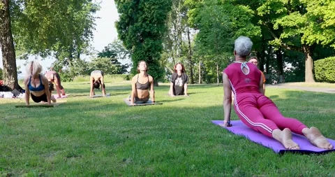 A group of people practice yoga in a park on the grass, and repeat the moveme Stock Footage 138047253