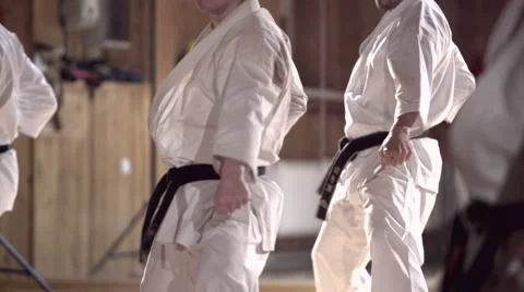 Group of people practicing karate kata Stock Footage 49081830