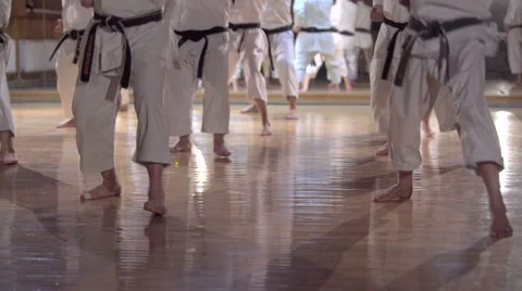 Group of people practicing karate kata Vídeos de archivo 49081941