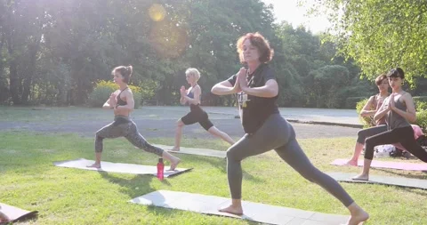 Group of people practicing yoga in the park on the grass, and repeating the m Stock Footage 138047116