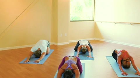 Group of People Relaxing and Doing Yoga. 스톡 동영상 53893761