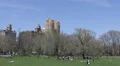 Group of People Relaxing in NYC Central Park, Cherry Trees Spring New York City HD Footage