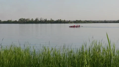 Group of People Rowing Kayak Across Calm Lake on Sunny Summer Day Stock-Footage 344771252