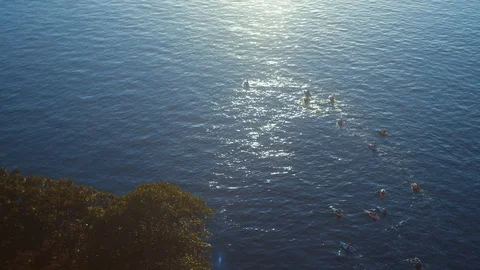 A group of people rowing or kayaking in the morning at Sydney harbour. Stock Footage 100386485
