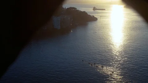 A group of people rowing or kayaking in the morning at Sydney harbour. Stock Footage 100386500
