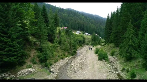 Group people running in mountain trail at summer, Stock Footage 313355353