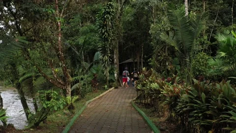 A group of people running over a small path that goes through the forest Stock Footage 142760295