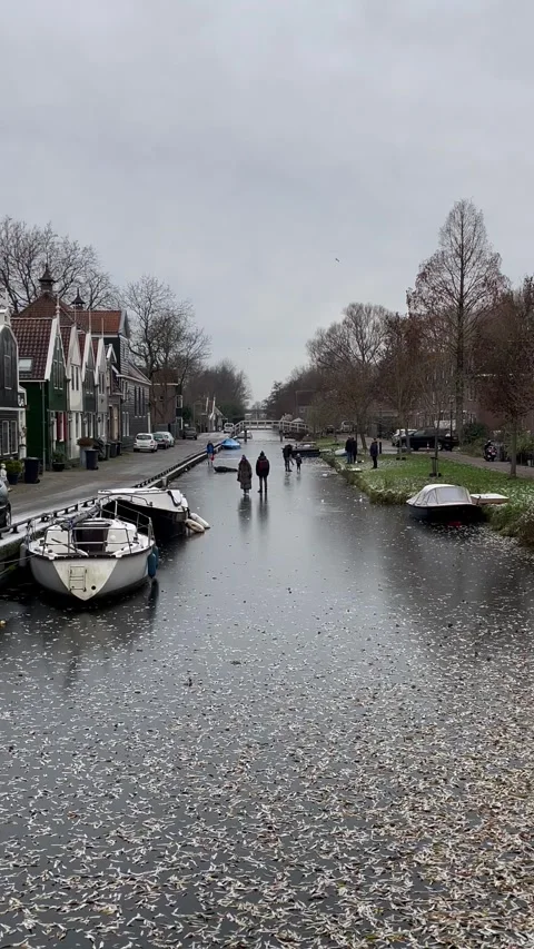 Group of people skating and dancing on frozen canal in Zaandam, Netherlands Stock-Footage 285975465