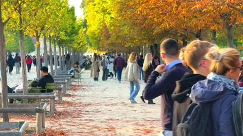 A group of people strolling down a wide avenue of the Tuileries Garden Vídeo Stock 337881045