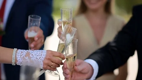 Group of people toasting and drinking champagne outdoor over sunset. Celebrating Stock Footage 76926067