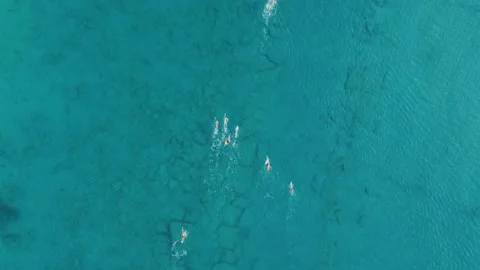 Group of people training to swim on open sea. Morning triathlon training in open Видео 218229366