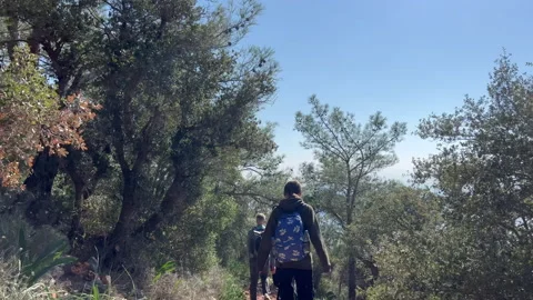 Group of people trekking in forest by, camera pans top to bottom Stock Footage 234773225