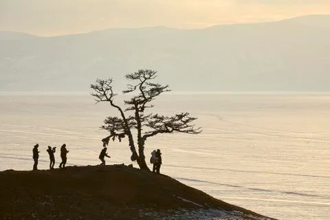 A group of people under a tree against the background of the sunset Stock Photos