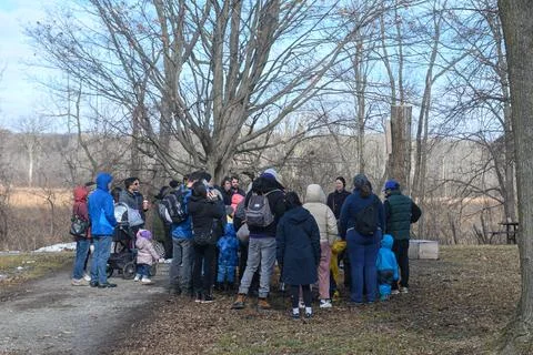 Group of People Visit Maple Syrup Festival Stock Photos