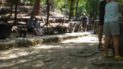 A group of people walk down a path in a park. Timelapse Stock Footage 273511586