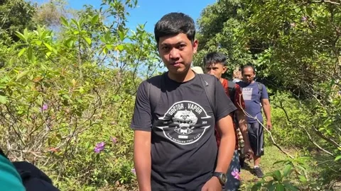 A group of people walked through the forest 動画素材 263047324
