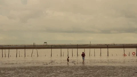 Group of people walking on the beach Stock Footage