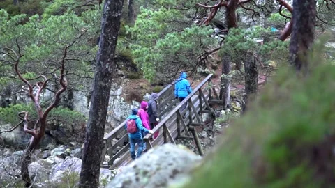 A group of people walking in on a bridge. daytime Stock Footage 233900523