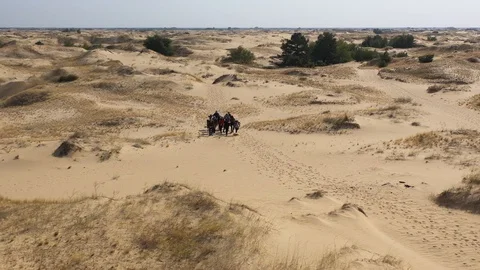 Group of people walking on the desert Stock Footage 129108080