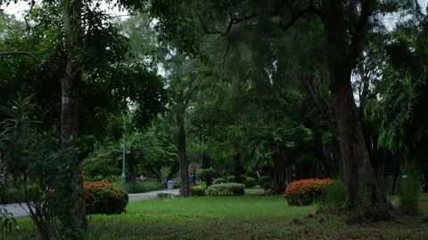 Group of People Walking Exercise in Park Stock Footage 321643976