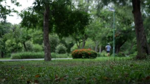 Group of People Walking Exercise in Park Stock Footage 324512626