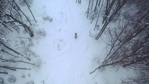A group of people walking in the forest Stock Footage 123360603