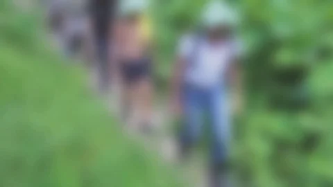 Group of people walking one by one through the forest. Unfocused shot. Stock Footage 83277353