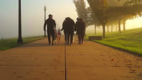 Group Of People Walking In The Park Stock Footage 199280771