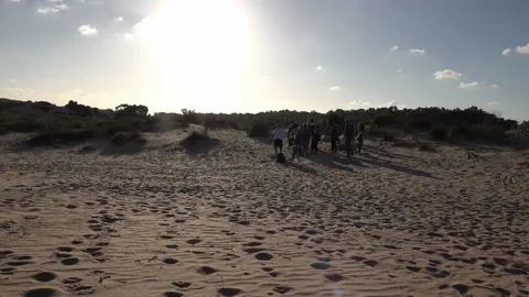A group of people walking in the sands Video stock 131360015