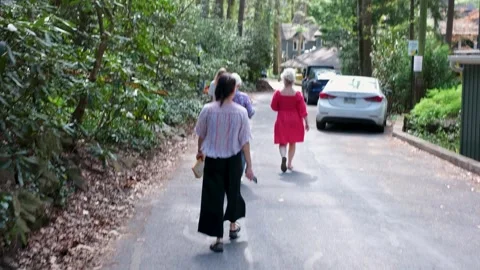 Group of People Walking on Tree Lined Road Handheld Stock Footage 333077615
