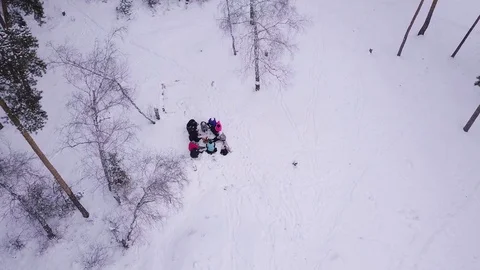 Group Of People Winter Snow Forest Walk Happy Friends. People walk in the woods, Stock Footage 100875885