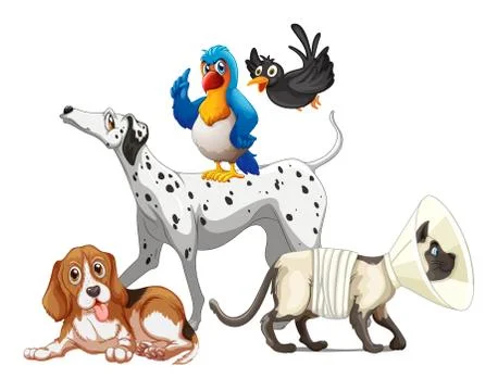 Group of pet on white background Illustrazione stock