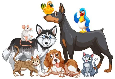 Group of pet on white background イラスト素材