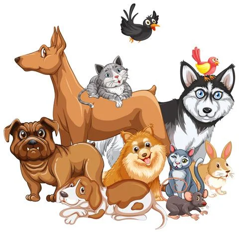 Group of pet on white background 스톡 일러스트