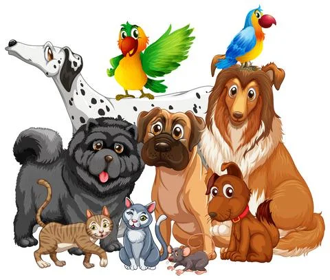 Group of pet on white background 스톡 일러스트