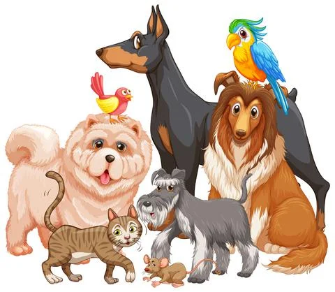 Group of pet on white background Illustrazione stock