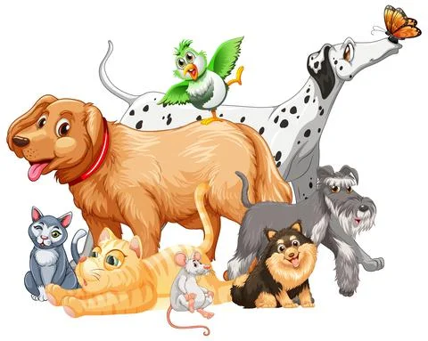 Group of pet on white background 스톡 일러스트