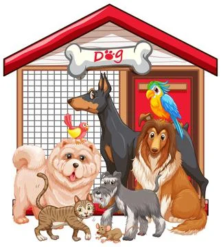 Group of pet on white background 스톡 일러스트