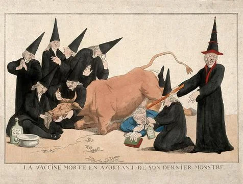 A group of physicians stand by a cow that has died while 'aborting' a man; .. Stock Illustration