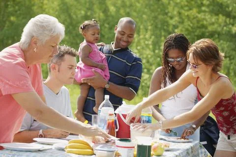 Group Picnic Stock Photos